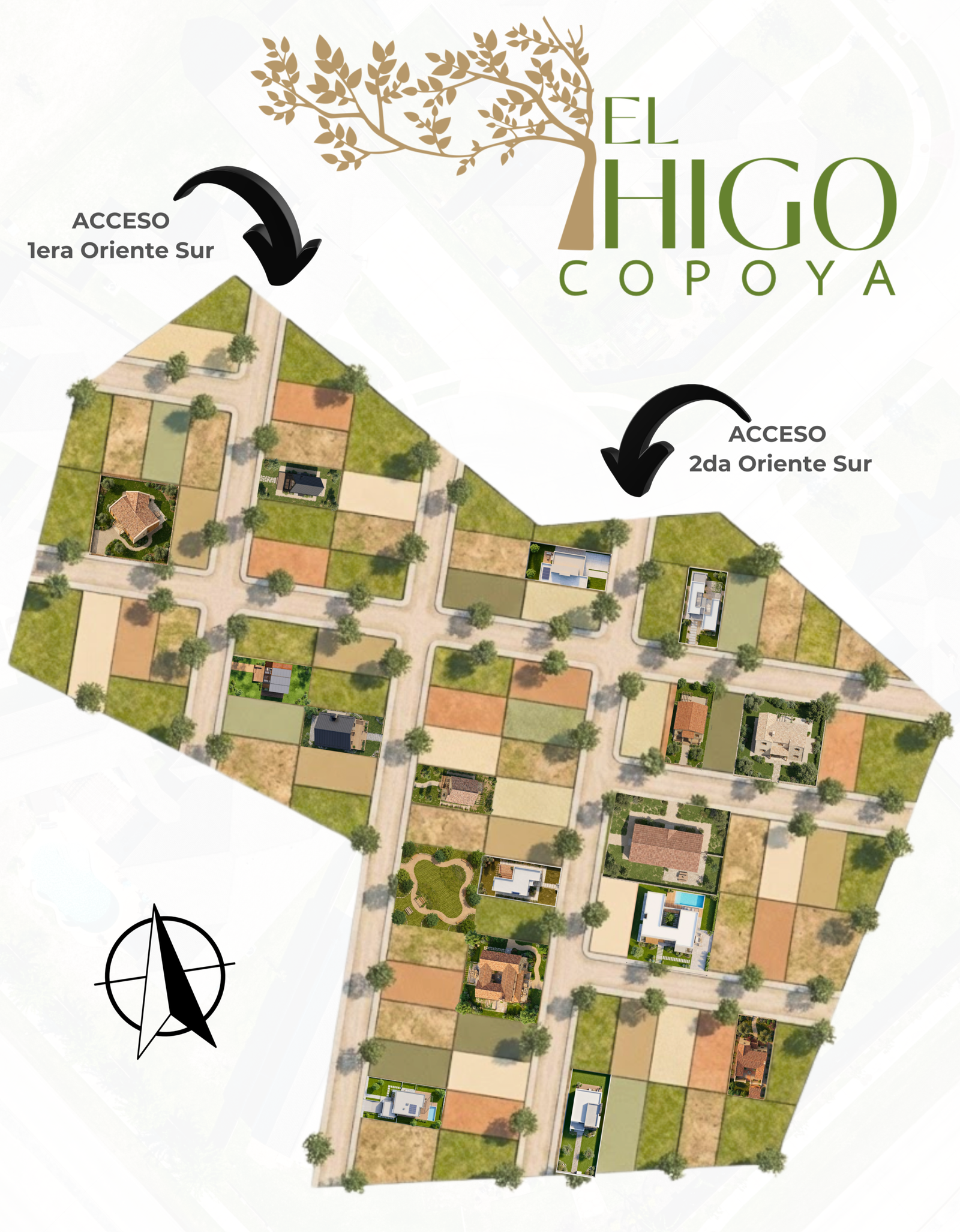 Master Plan El Higo Copoya