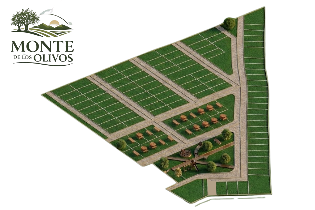 Masterplan Monte de los Olivos